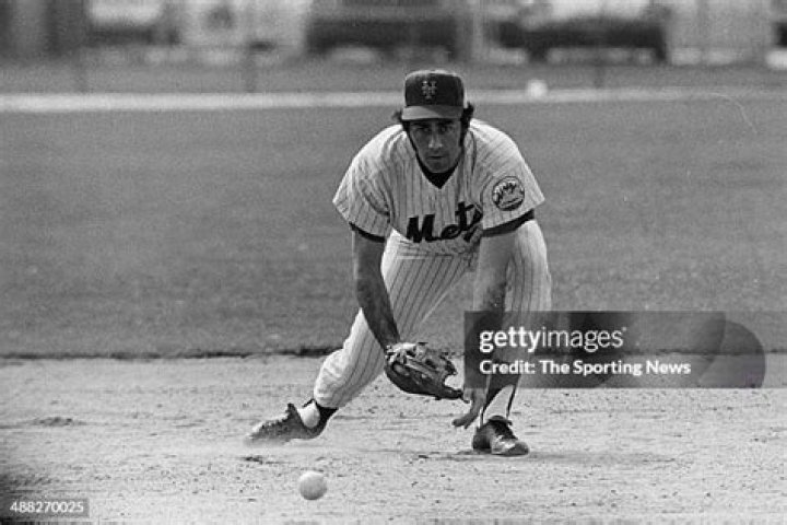 Art Shamsky Biography, Age, Height, Husband, Net Worth, Family