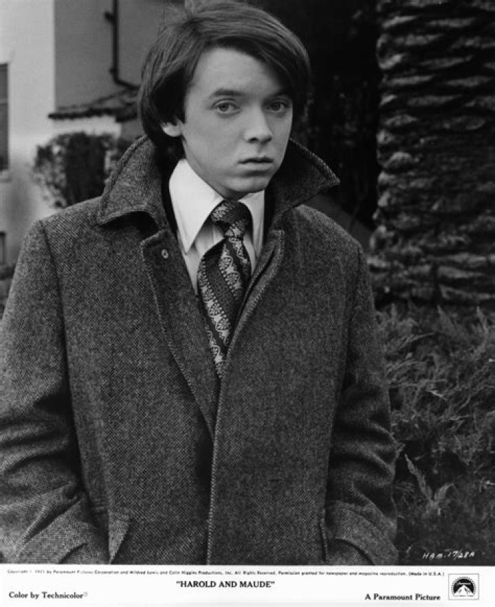 Bud Cort Biography, Age, Height, Wife, Net Worth, Family