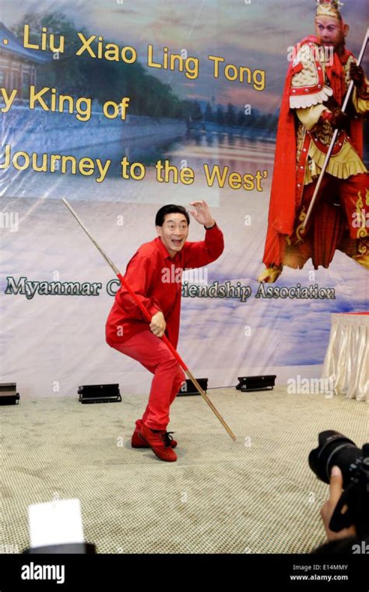 Liu Xiao Ling Tong Biography, Age, Height, Wife, Net Worth, Family