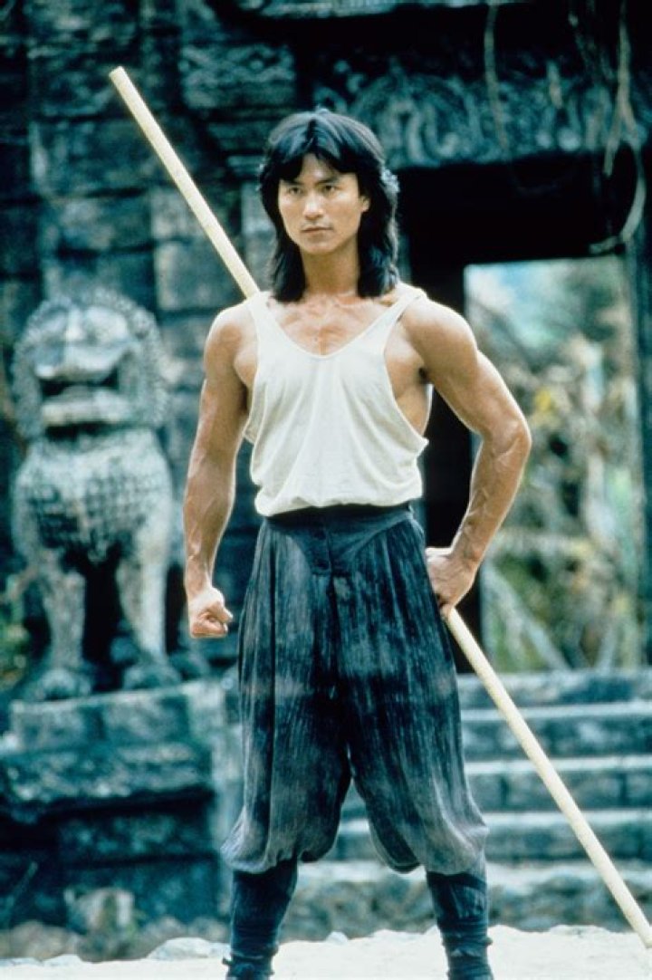 Robin Shou biografía, edad, altura, esposo, net worth, familia