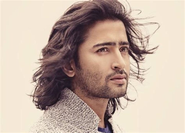 Shaheer Sheikh Biography, Age, Height, Wife, Net Worth, Family