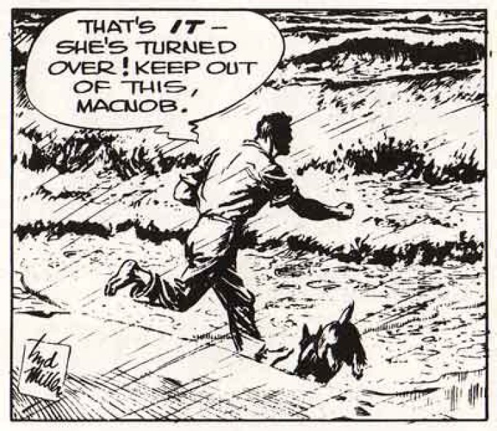 Syd Miller (cartoonist) Biography, Age, Height, Wife, Net Worth and Family